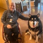 Peter a bald man in a wheelchair is petting a large husky dog