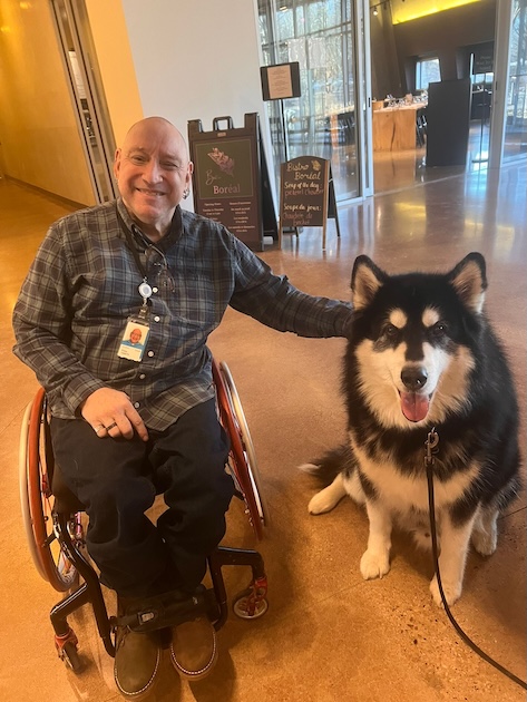 Peter a bald man in a wheelchair is petting a large husky dog